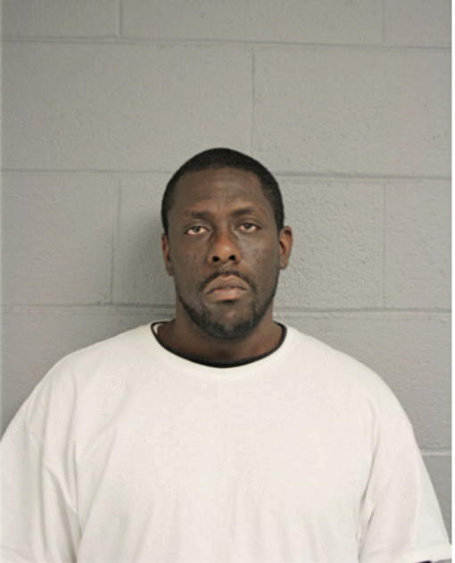 STEVEN L BROWN, Cook County, Illinois
