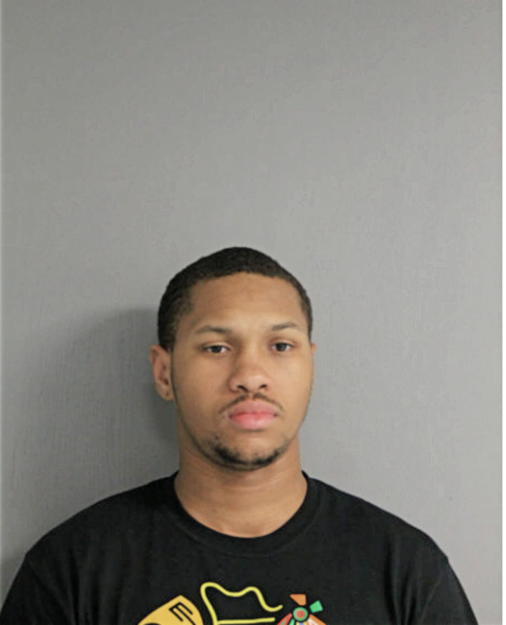 HENRY L COLEMAN, Cook County, Illinois