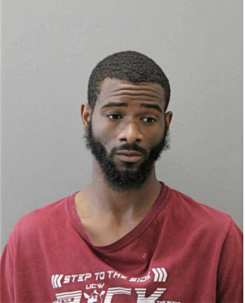 DENNIS L CUMMINGS, Cook County, Illinois