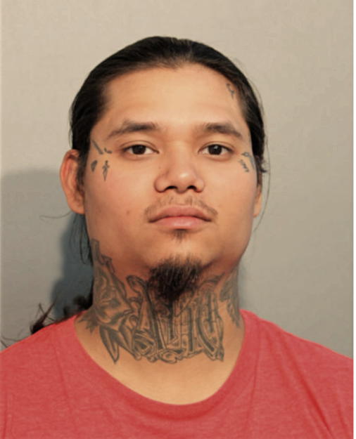 GOVINDA DAS, Cook County, Illinois