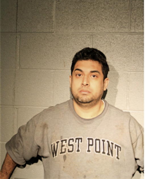 DAVID L DOMINGUEZ, Cook County, Illinois