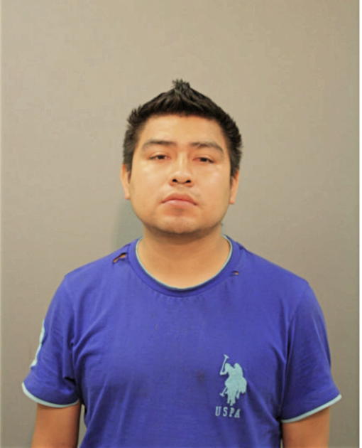 ADOLFO FITZ, Cook County, Illinois