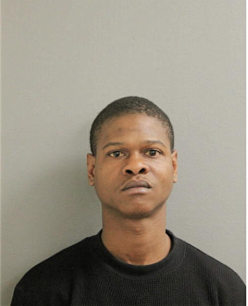 MICHAEL C HALL, Cook County, Illinois