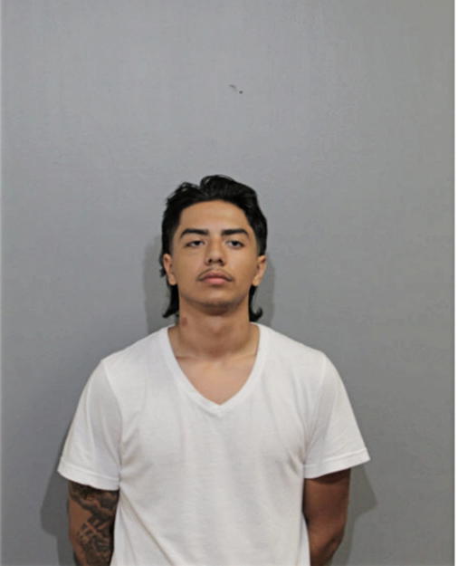 JAMES M HERNANDEZ, Cook County, Illinois