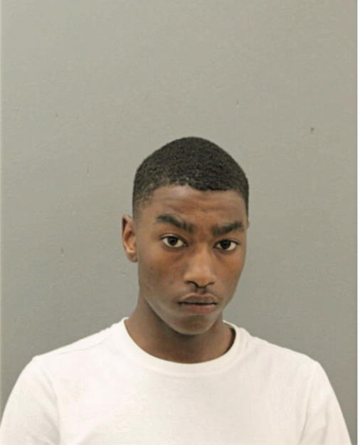 MIKHAIL A HORTON, Cook County, Illinois