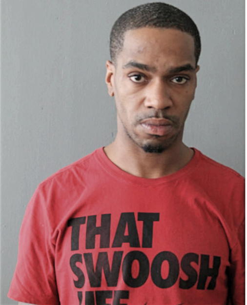 TERRANCE T JONES, Cook County, Illinois