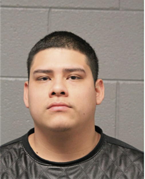 LUIS A LIZAMA-PEDRAZA, Cook County, Illinois