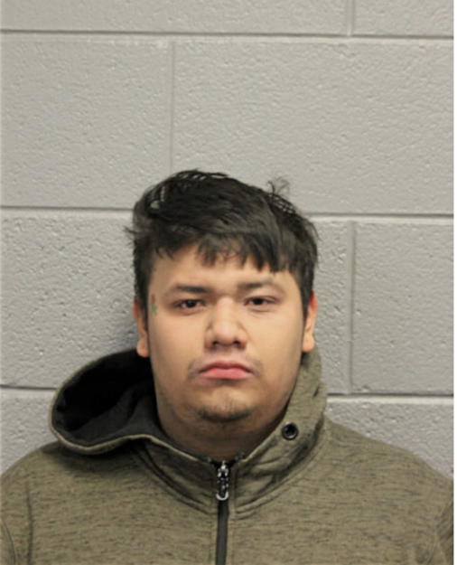 RUBEN LUNA, Cook County, Illinois