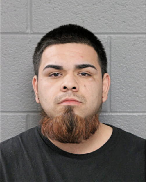 JAIR MEJIA, Cook County, Illinois