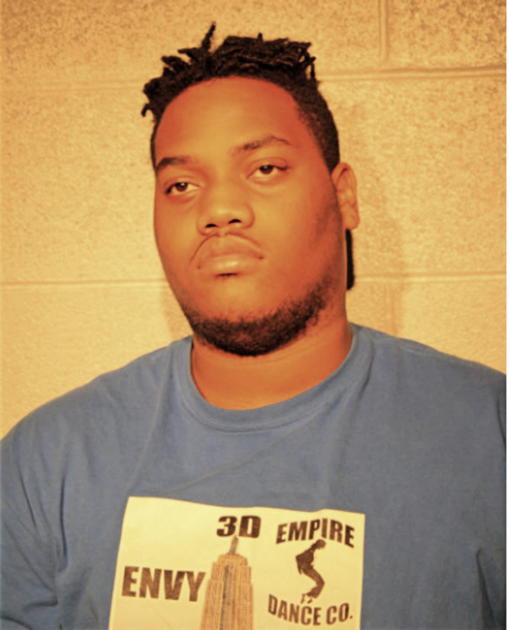 DANA B MISHER, Cook County, Illinois