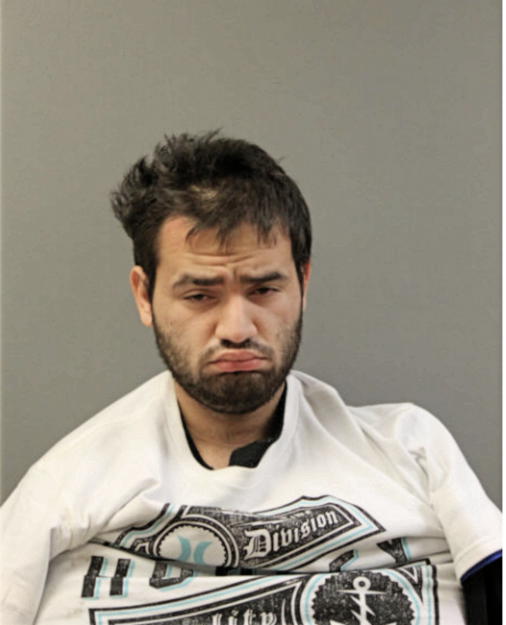 JONATHAN G NICHOLAS, Cook County, Illinois