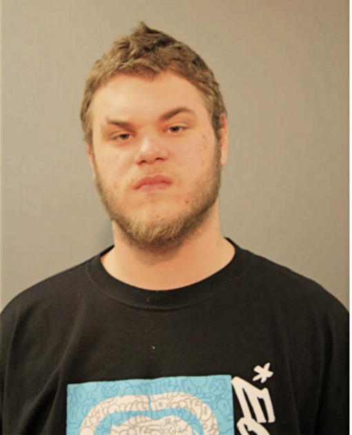 STEFAN NIKOLIC, Cook County, Illinois