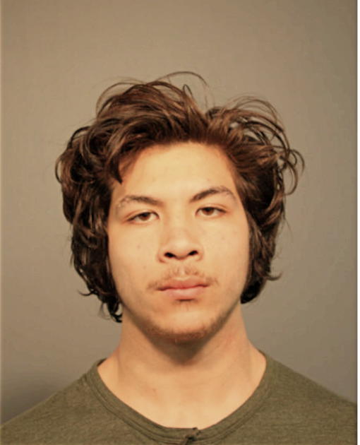 BRANDON M PAOPAO, Cook County, Illinois