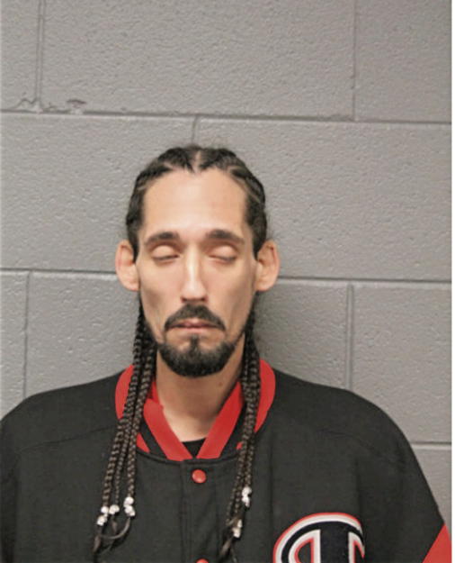 ARTHUR J SALINAS, Cook County, Illinois