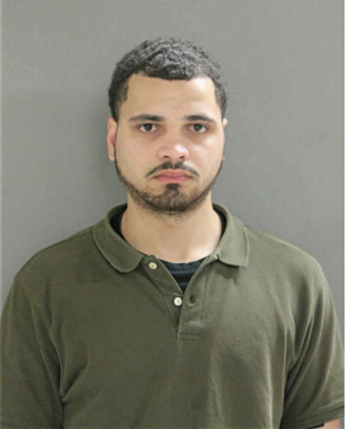 ANTHONY S SUMNER, Cook County, Illinois