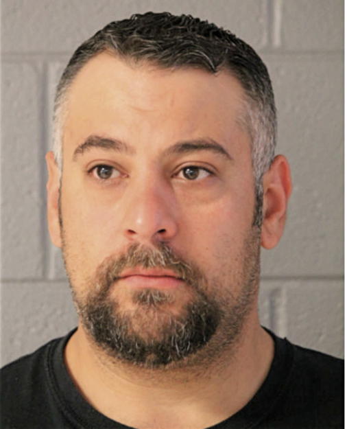 MICK VIENI, Cook County, Illinois