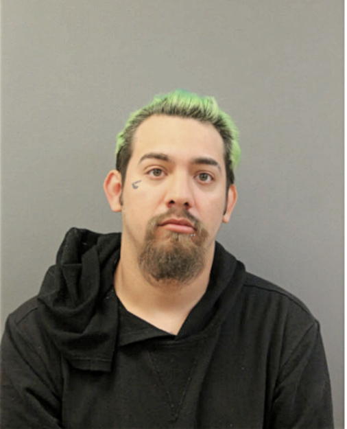 ROBERTO WONG, Cook County, Illinois