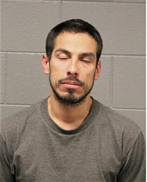 ENRIQUE ZAMORA, Cook County, Illinois
