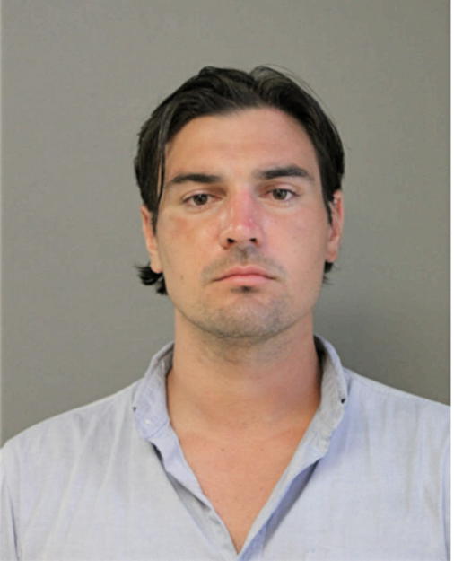 NIKOLA P ZECEVIC, Cook County, Illinois