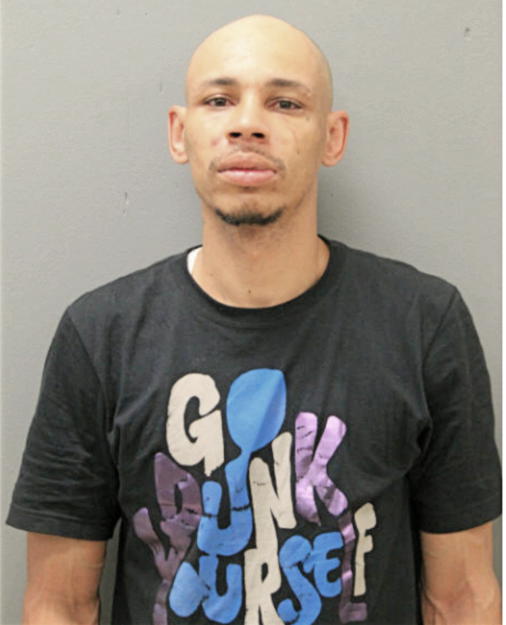 CHRISTOPHER L AGEE, Cook County, Illinois