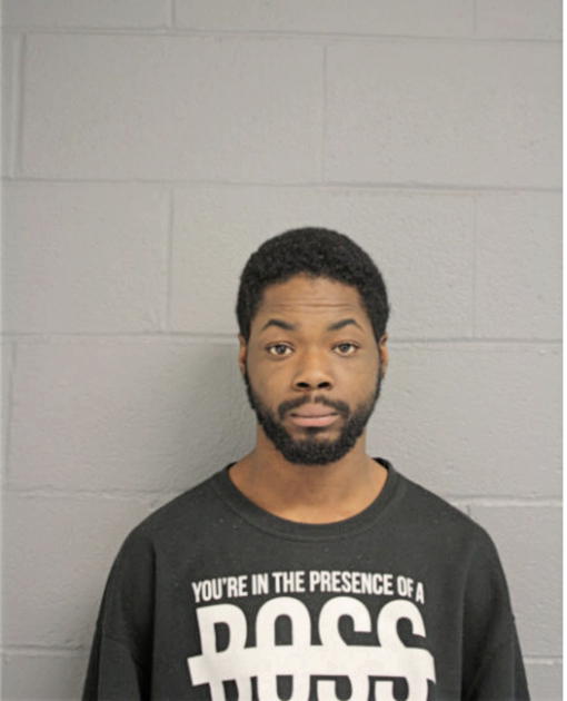 ROTIMI O AOFOLAJU, Cook County, Illinois