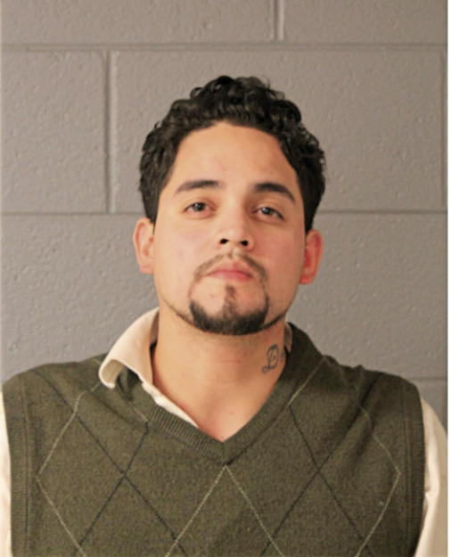 ANDREW W ARANGO, Cook County, Illinois