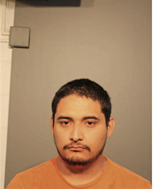 CARLOS R CASTELLANOS-LOPEZ, Cook County, Illinois