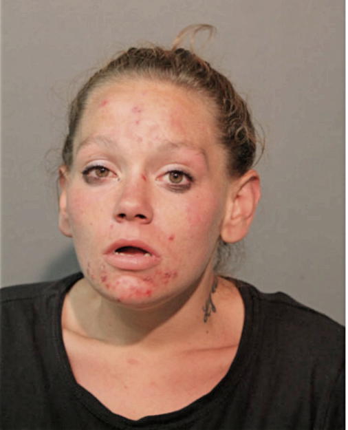 MELISSA L CRENSHAW, Cook County, Illinois