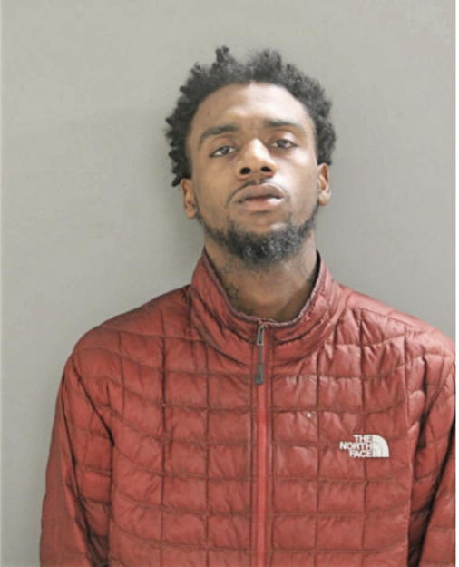 DERRICK D FLEMING, Cook County, Illinois