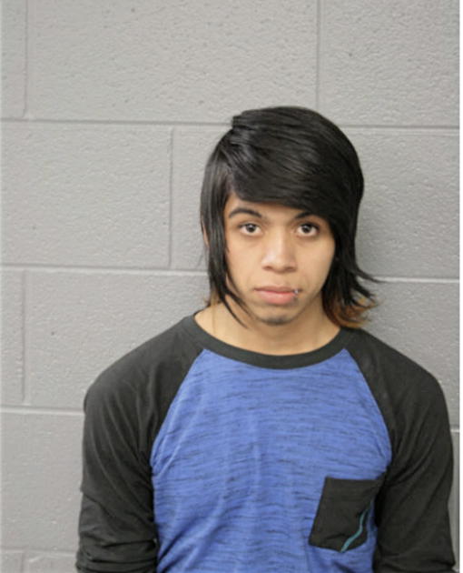 AMNER V FLORES, Cook County, Illinois