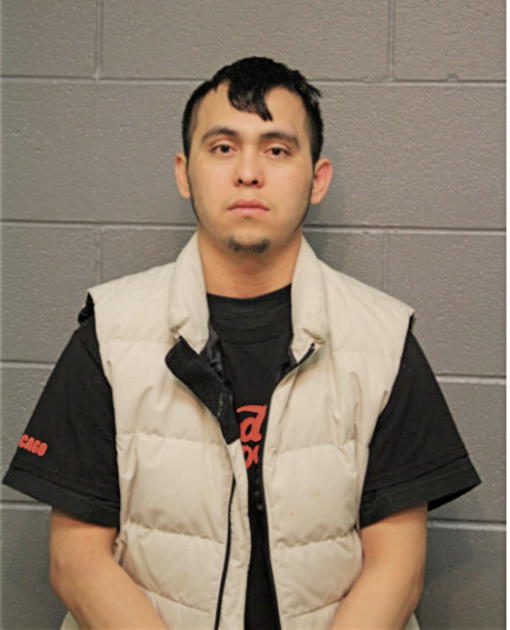 ALEJANDRO C HERNANDEZ, Cook County, Illinois
