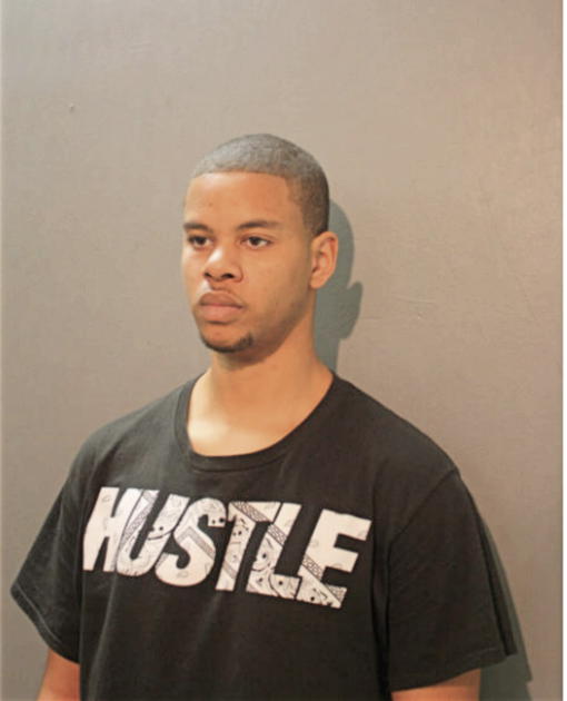 BRYANT P JOHNSON, Cook County, Illinois