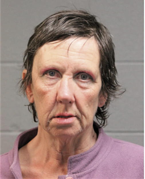 CHRISTINE C LABUDA, Cook County, Illinois