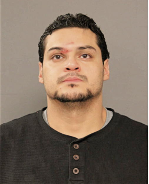 MICHAEL R LOVERING, Cook County, Illinois