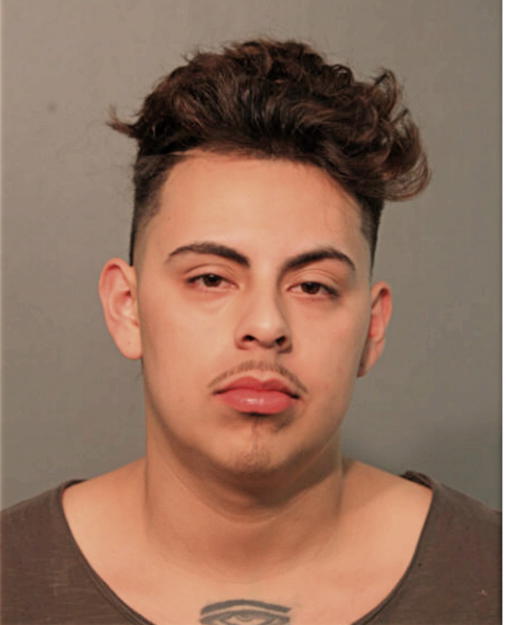 JOSE L LUVIANO, Cook County, Illinois