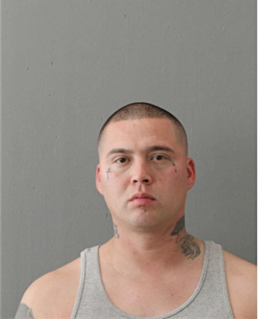 JOHN A MILLER, Cook County, Illinois