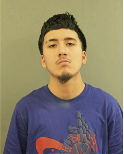 PEDRO NENDIOLA, Cook County, Illinois