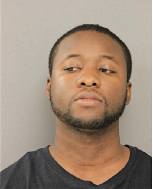 SEAN B PATTON, Cook County, Illinois