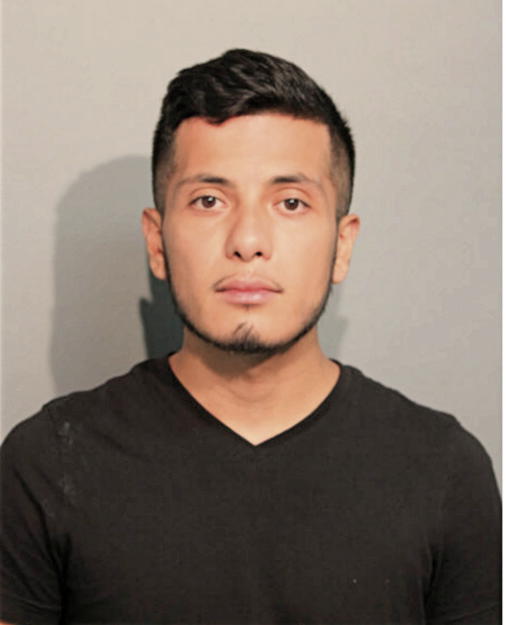HECTOR A PEREZ, Cook County, Illinois