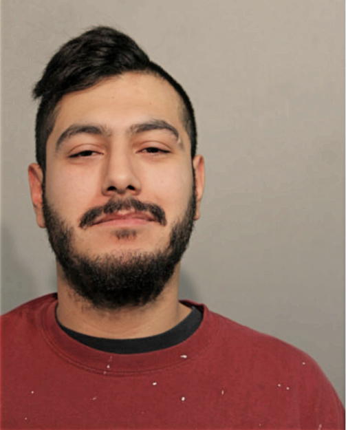 ROGELIO ROMAN, Cook County, Illinois