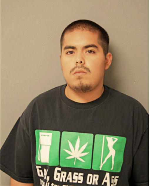 GUADALUPE Y SANCHEZ, Cook County, Illinois