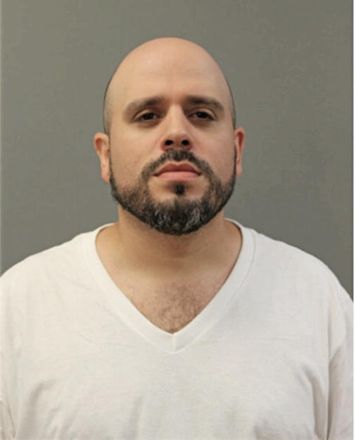 MICHAEL S ALVAREZ, Cook County, Illinois