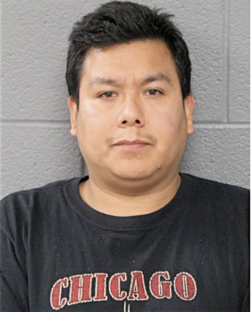 ARTURO E AVELAR, Cook County, Illinois