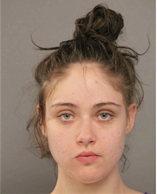 NICOLLETTE BORGER, Cook County, Illinois