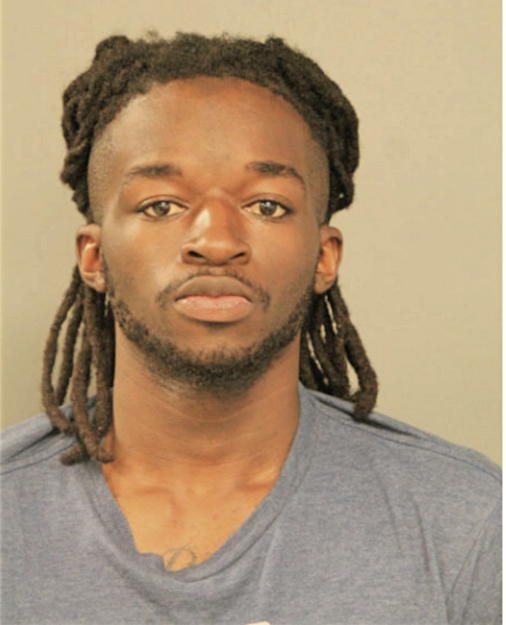 NOAH L DINWIDDIE, Cook County, Illinois