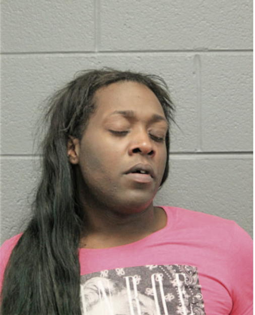 CHRISTOPHER E FOSTER, Cook County, Illinois