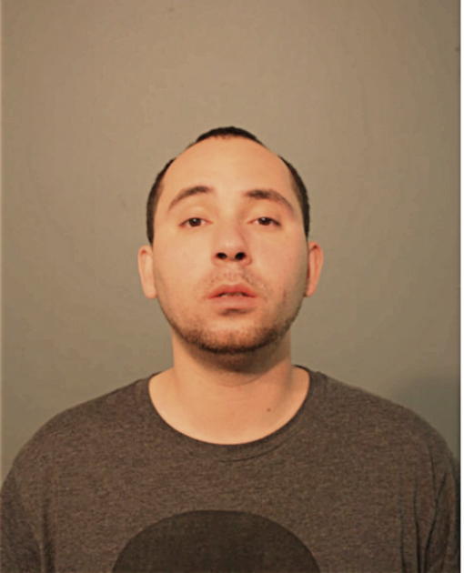 JONATHAN GOMES, Cook County, Illinois