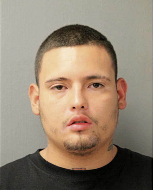 LUIS HERNANDEZ, Cook County, Illinois