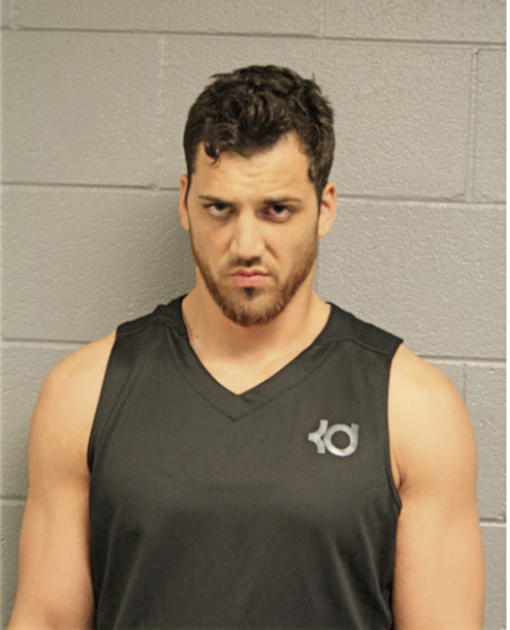 JOSHUA R HISE, Cook County, Illinois