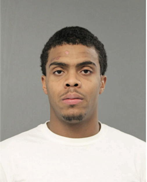 DENNIS M JOHNSON, Cook County, Illinois